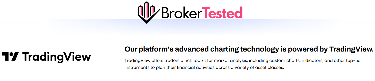 BXB Market Research Review